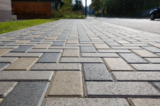 Best Driveway Repair Near Me  in Stewartville, MN